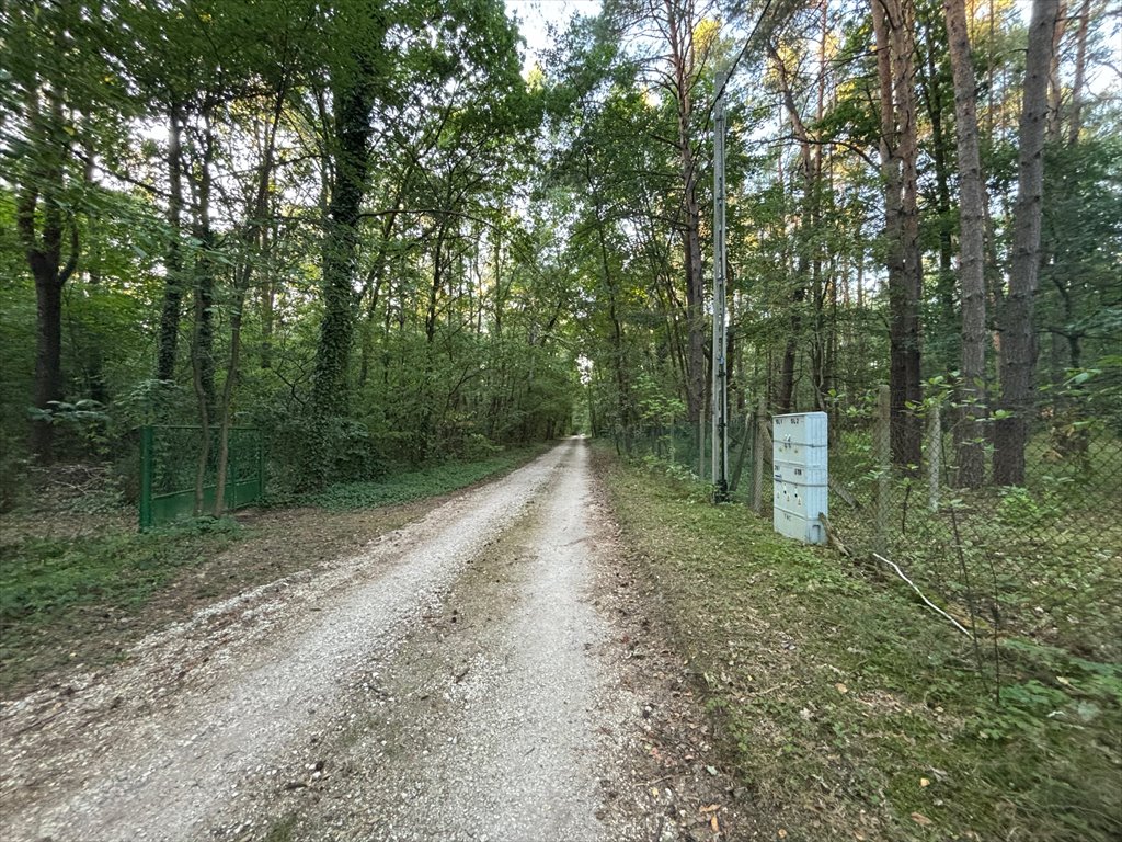 Działka budowlana na sprzedaż Prace Duże  1 800m2 Foto 3