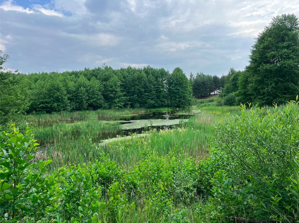 Działka rekreacyjna na sprzedaż Izbica Kujawska  3 009m2 Foto 2