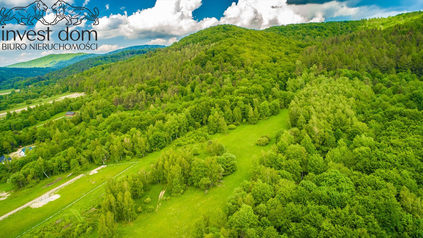 Działka budowlana na sprzedaż Wysowa-Zdrój  12 550m2 Foto 10