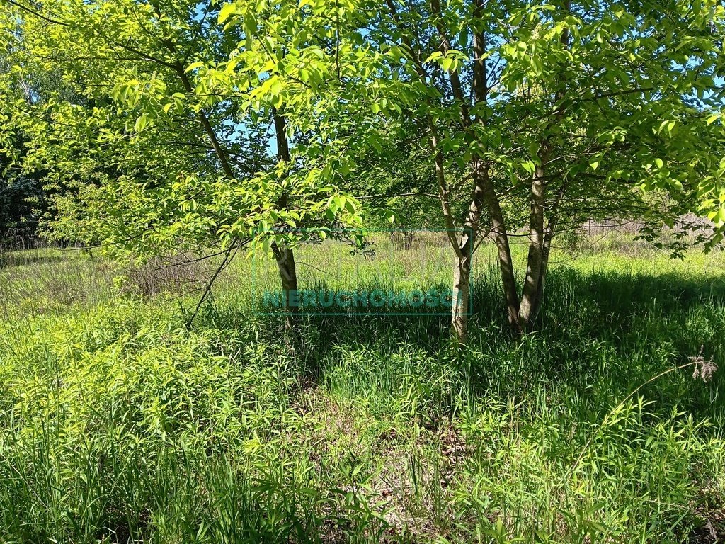 Działka budowlana 3945 m² w Chrzanowie Małym z mediami Chrzanów Mały  3 945m2 Foto 1