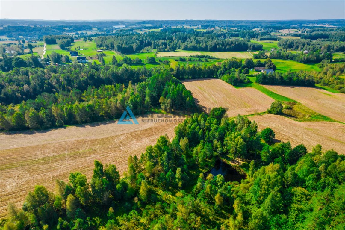 Działka leśna na sprzedaż Staniszewo  7 300m2 Foto 10