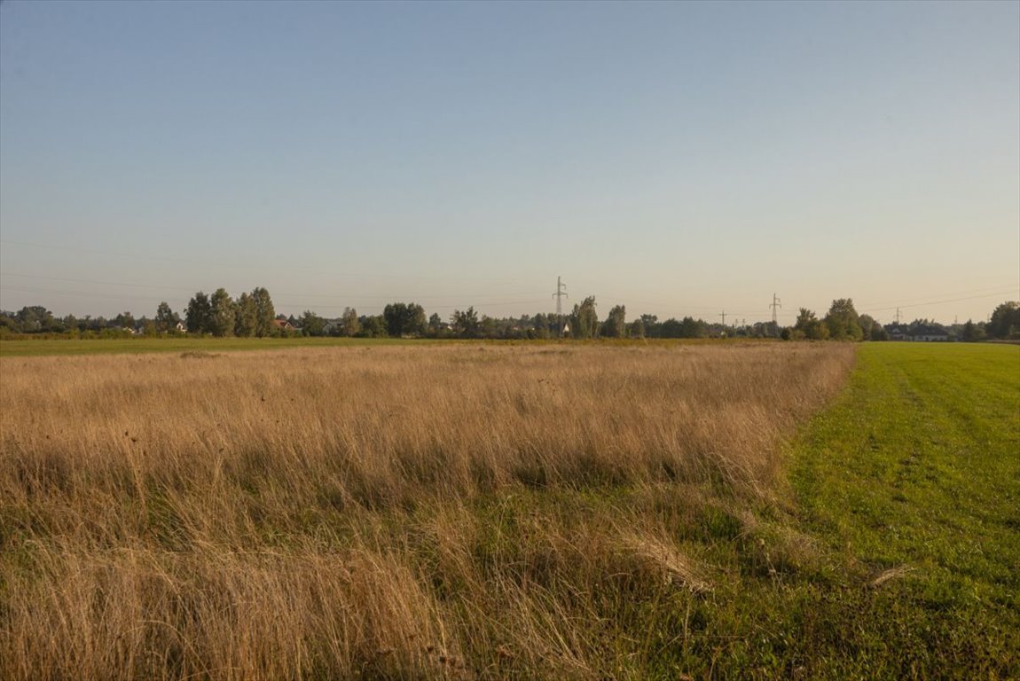 Działka budowlana na sprzedaż Postoliska  15 000m2 Foto 5