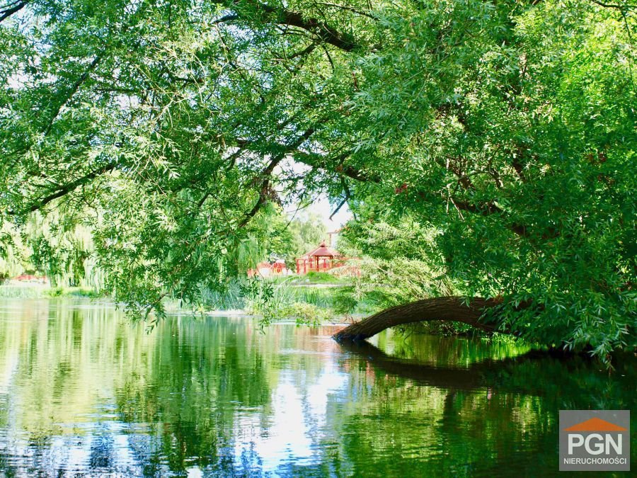 Działka inwestycyjna 12 974 m² w Gryficach (prąd, woda, kanalizacja) Gryfice  12 974m2 Foto 1
