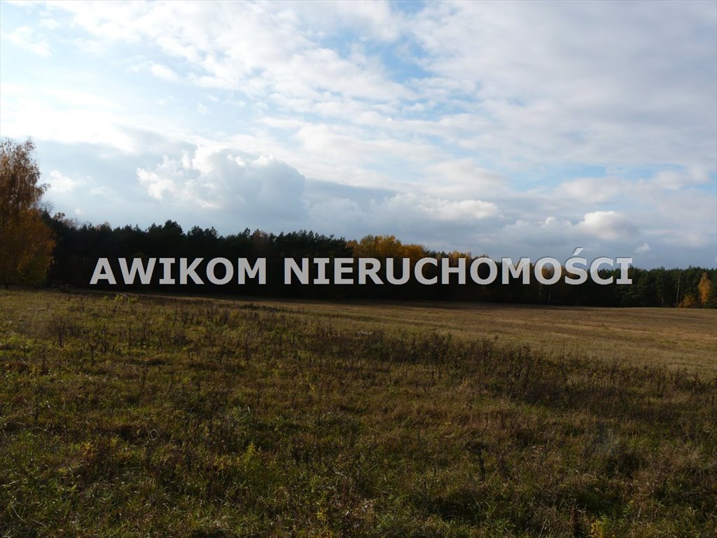 Działka inwestycyjna na sprzedaż Puszcza Mariańska, Wycześniak  162 570m2 Foto 7