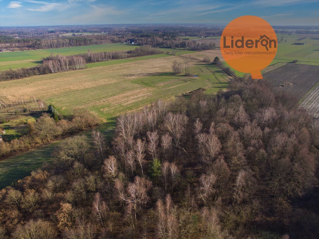 Działka budowlana na sprzedaż Pelagia  11 148m2 Foto 3