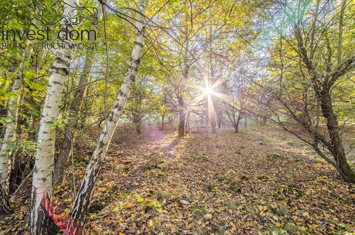 Działka budowlana na sprzedaż Gorlice  5 763m2 Foto 11