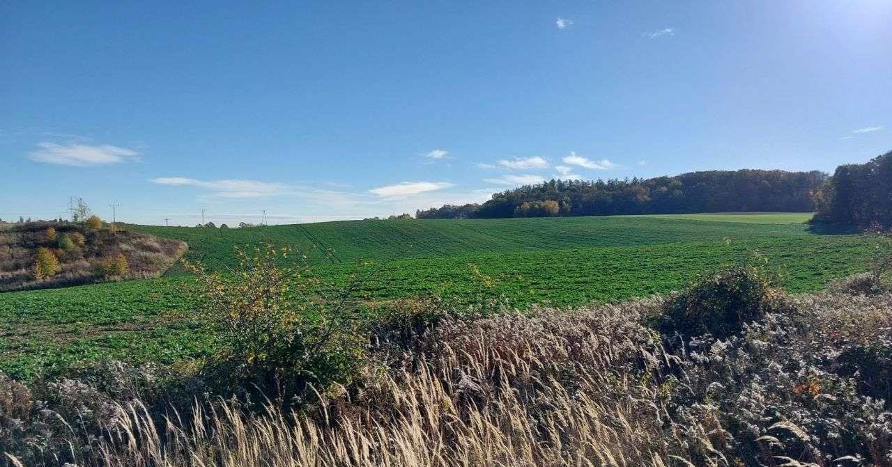 Działka budowlana na sprzedaż Świątniki, Bukowa  5 300m2 Foto 8