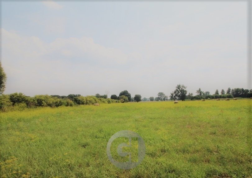Działki budowlane w Prądocinie z mediami i dojazdem asfaltowym Prądocin  1 341m2 Foto 1
