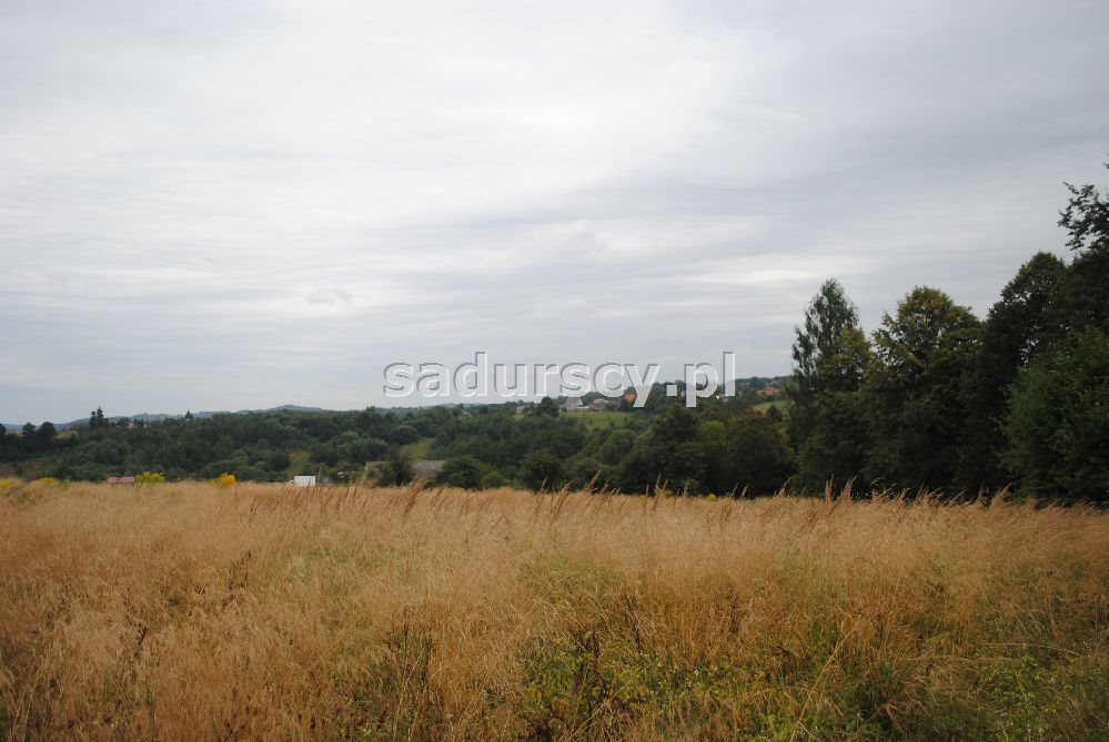 Działka inna na sprzedaż Wola Nieszkowska 9 300m2 Foto 1 Działka inna na sprzedaż Wola Nieszkowska 9 300m2 Foto 1