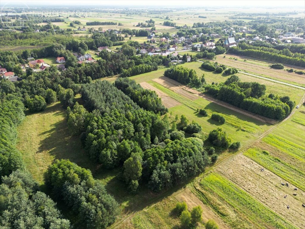 Działka rolna na sprzedaż Zaborów  5 300m2 Foto 15