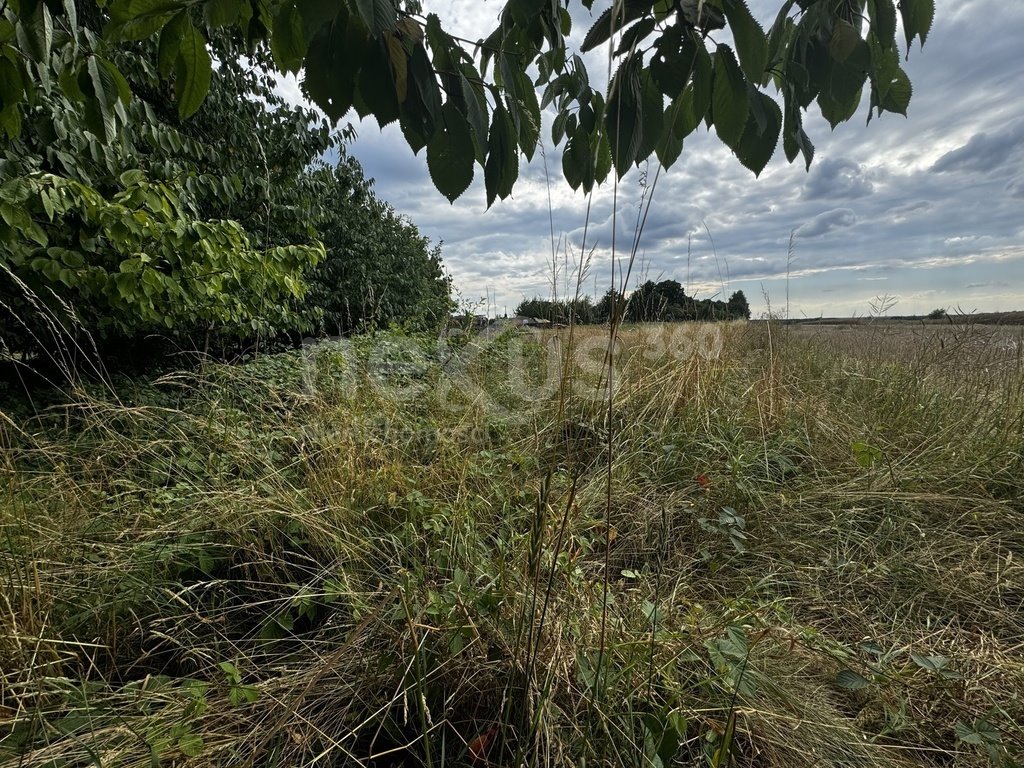 Działka budowlana na sprzedaż Sądrożyce  5 324m2 Foto 1