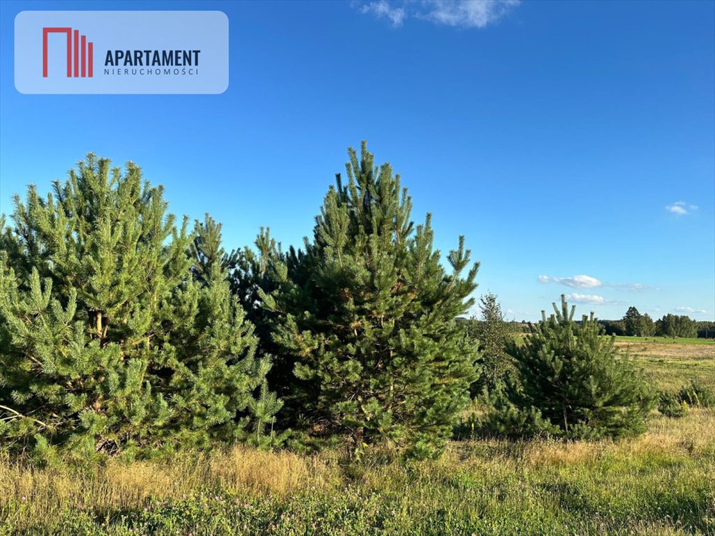 Działka 1000 m² z warunkami zabudowy, las, dojazd polny Szatarpy  1 000m2 Foto 1