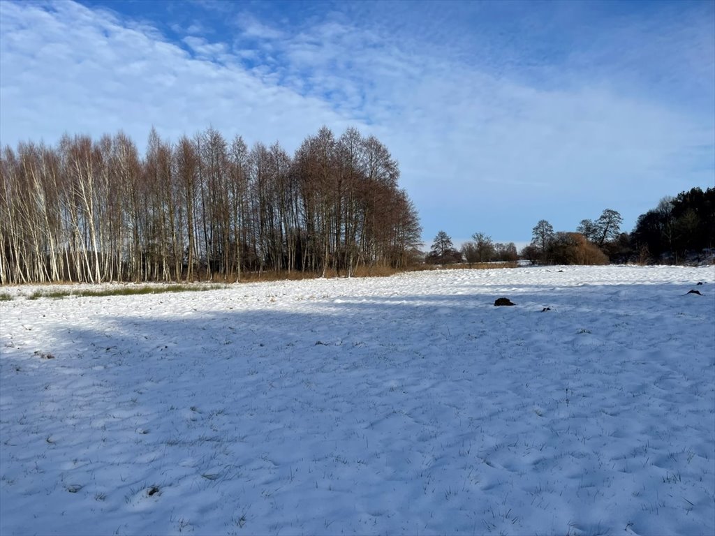 Działka leśna na sprzedaż Kowalewko, Szyjki  800m2 Foto 2