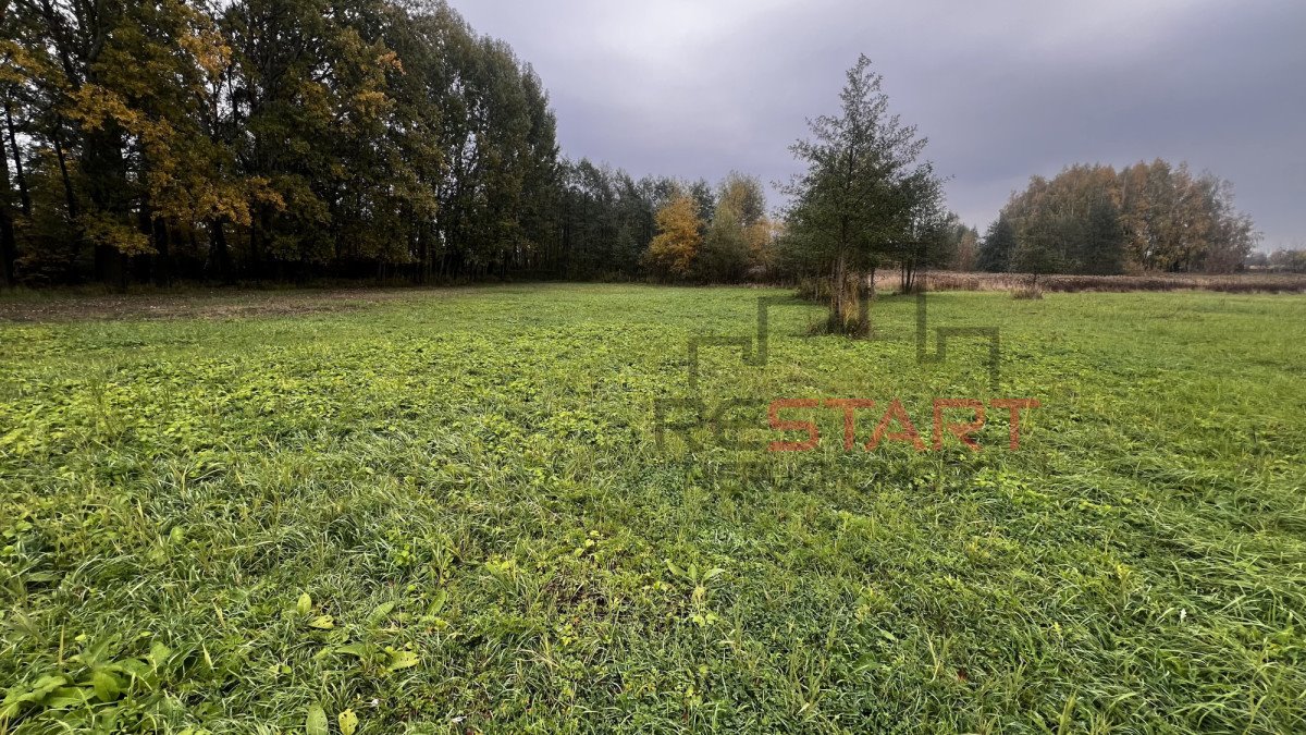 Działka przemysłowo-handlowa na sprzedaż Żaby  1 500m2 Foto 1