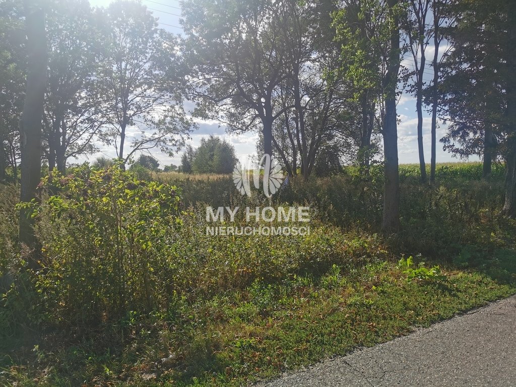 Działka siedliskowa na sprzedaż Miedniewice  9 100m2 Foto 2