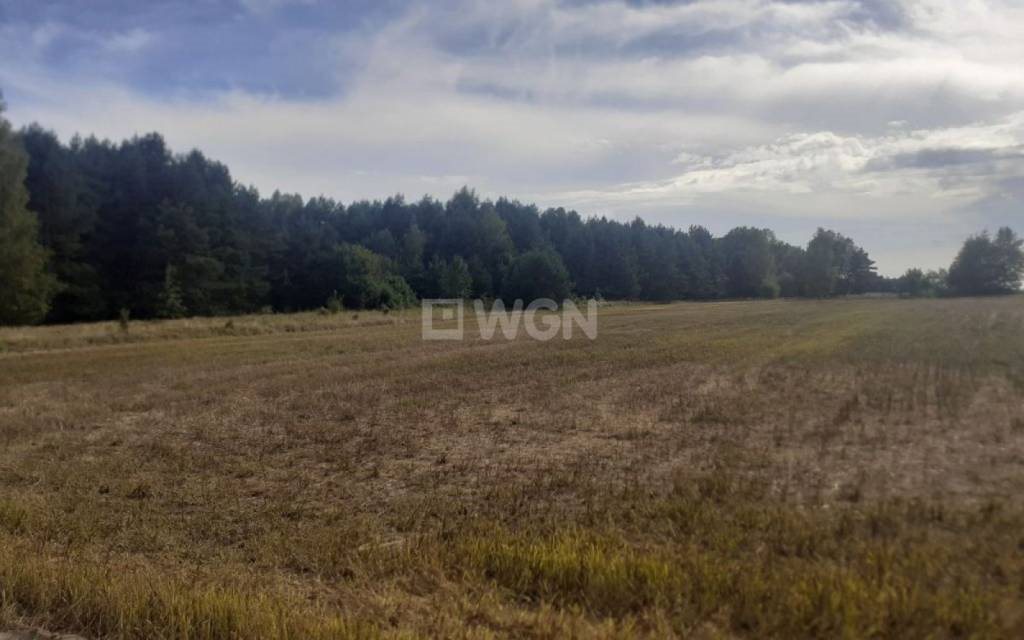 Działka siedliskowa na sprzedaż Jaworznik, Wschodnia  29 500m2 Foto 3