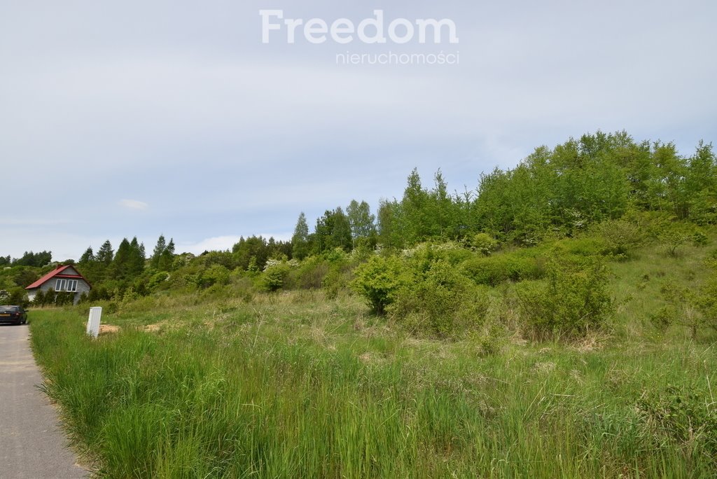 Działka budowlana na sprzedaż Szewna  3 700m2 Foto 7