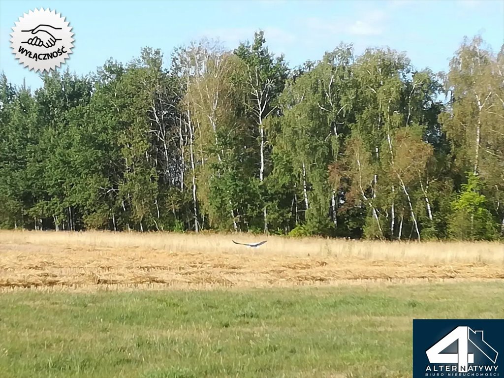 Działka budowlana na sprzedaż Skotniki, 15  1 000m2 Foto 4