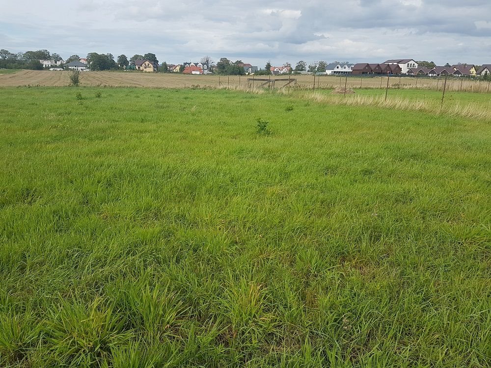 Działka budowlana na sprzedaż Władysławowo, Centrum, Dojazd z ul. Marii Dąbrowskiej 1 325m2 Foto 1 Działka budowlana na sprzedaż Władysławowo, Centrum, Dojazd z ul. Marii Dąbrowskiej 1 325m2 Foto 1