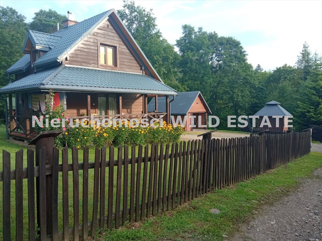 Dom na sprzedaż Krzywe  3 050m2 Foto 1