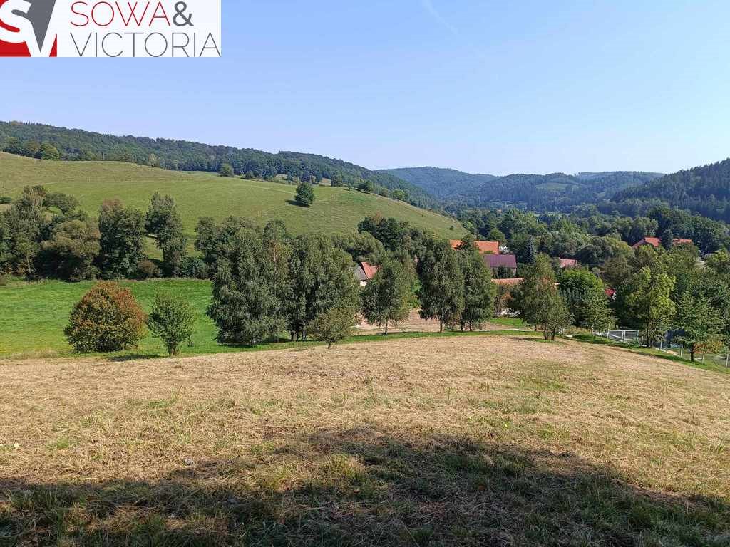 Działka budowlana na sprzedaż Zagórze Śląskie  2 700m2 Foto 2