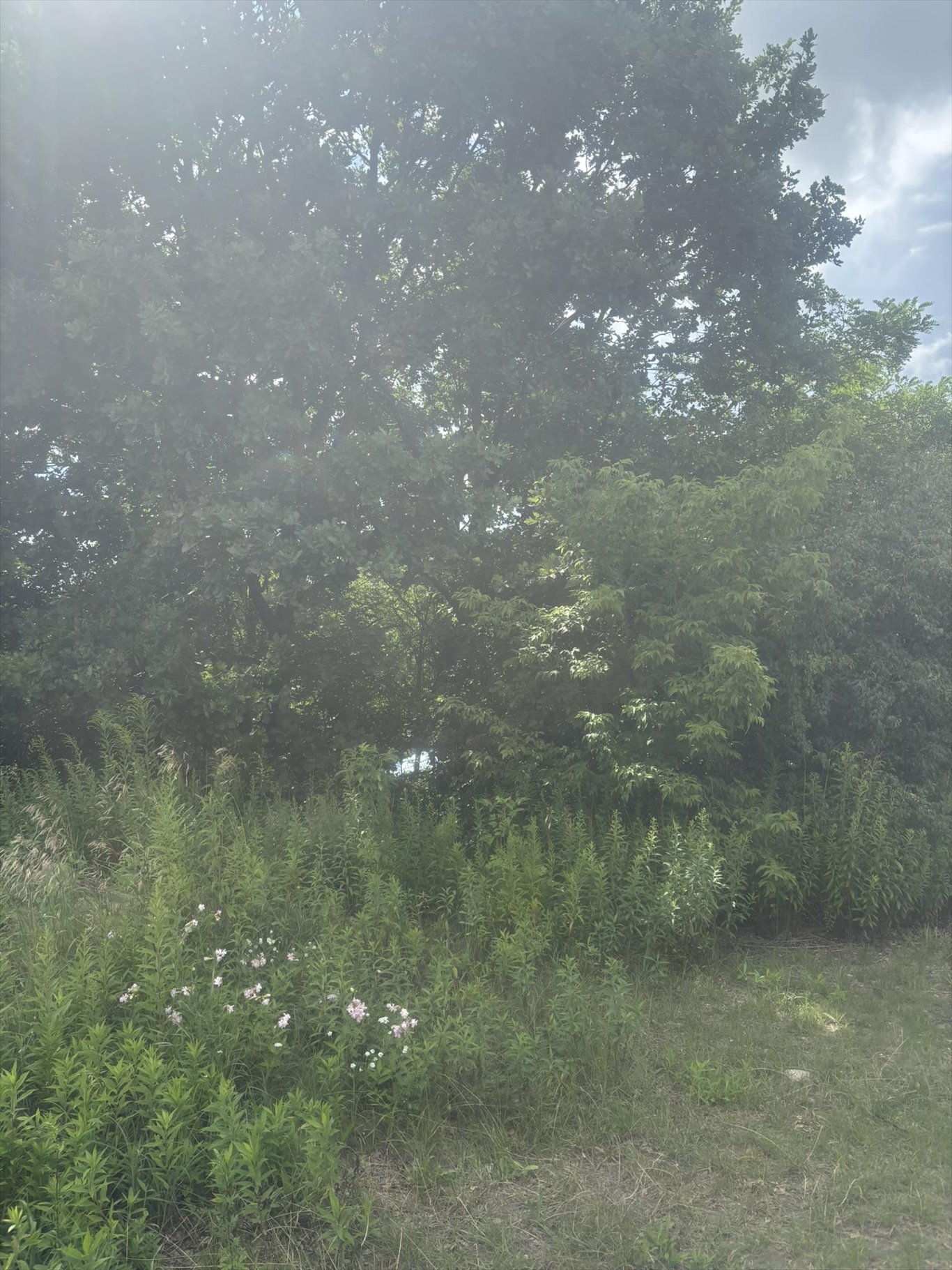 Zdjęcie 4
