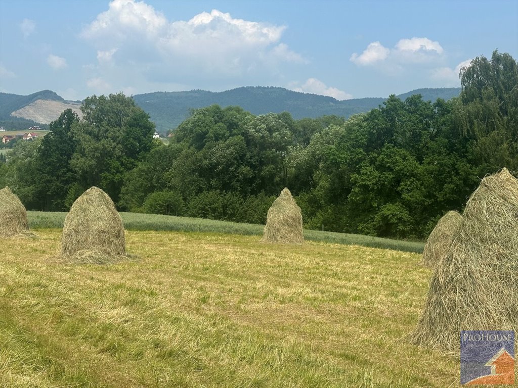 Działka 2100 m2 z warunkami zabudowy w Męcinie Męcina  2 100m2 Foto 1
