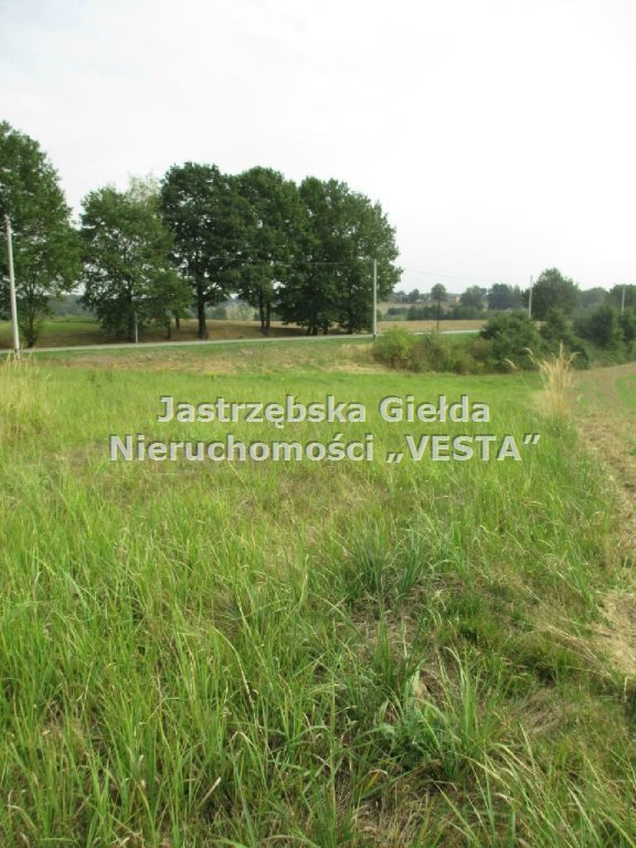 Działka rolna na sprzedaż Jastrzębie-Zdrój 2 600m2 Foto 1 Działka rolna na sprzedaż Jastrzębie-Zdrój 2 600m2 Foto 1