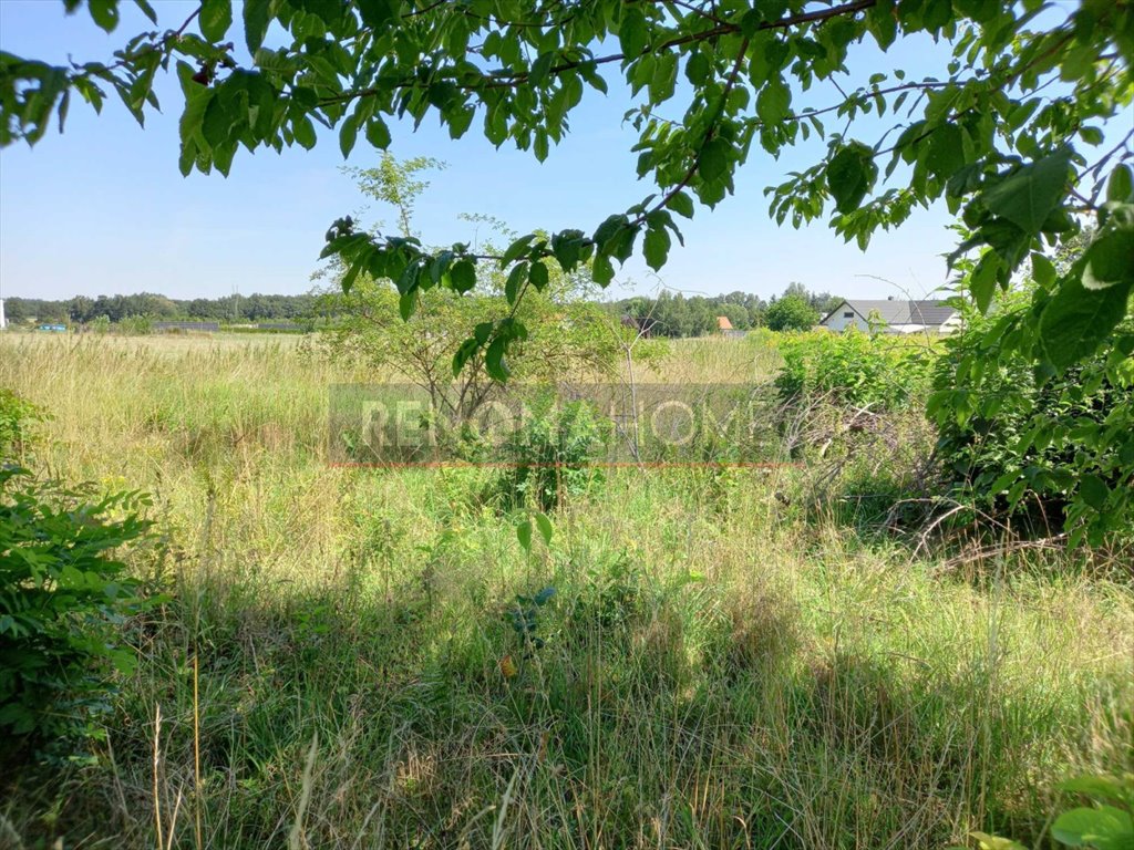 Działka budowlana na sprzedaż Wieruszów  2 100m2 Foto 6