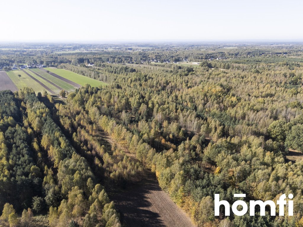 Działka inna na sprzedaż Kacprowice  4 100m2 Foto 5