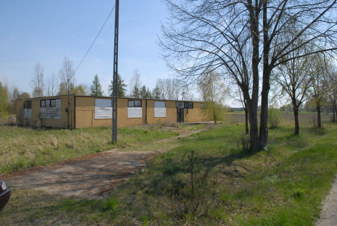 Działka budowlana na sprzedaż Stare Rybitwy, Stare Rybitwy  11 100m2 Foto 1