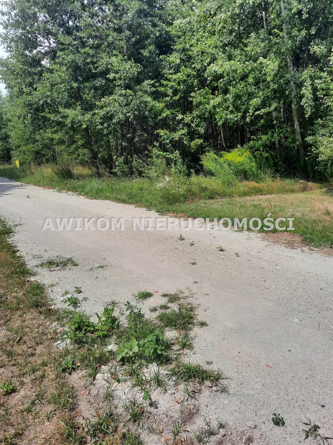 Działka inna na sprzedaż Łazy, Kolonia Ludwików  4 001m2 Foto 5