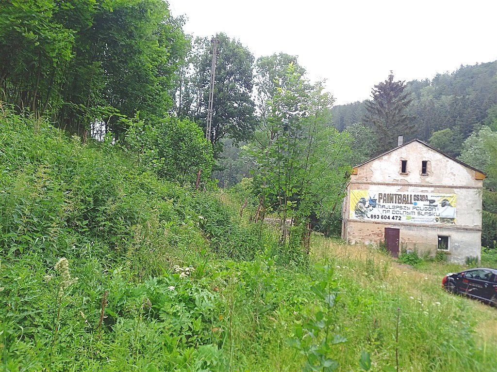 Dom do remontu z dużą działką i potencjałem inwestycyjnym Walim  200m2 Foto 1