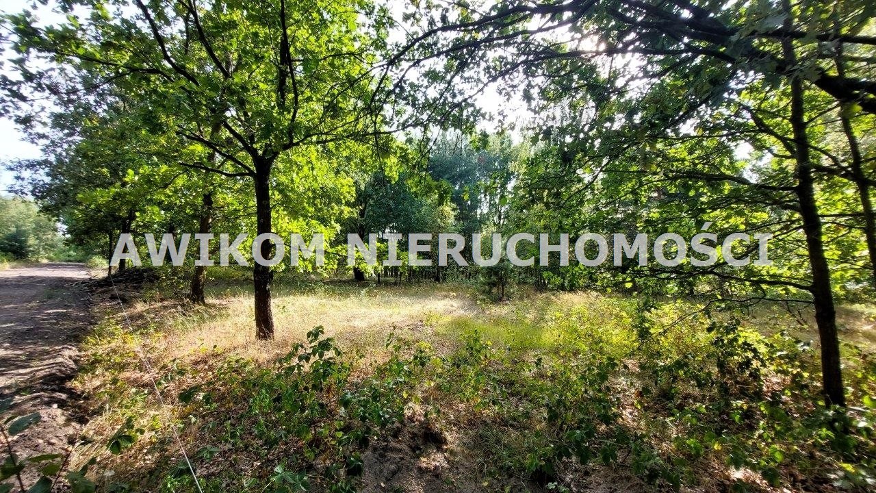 Działka budowlana na sprzedaż Puszcza Mariańska  4 350m2 Foto 9