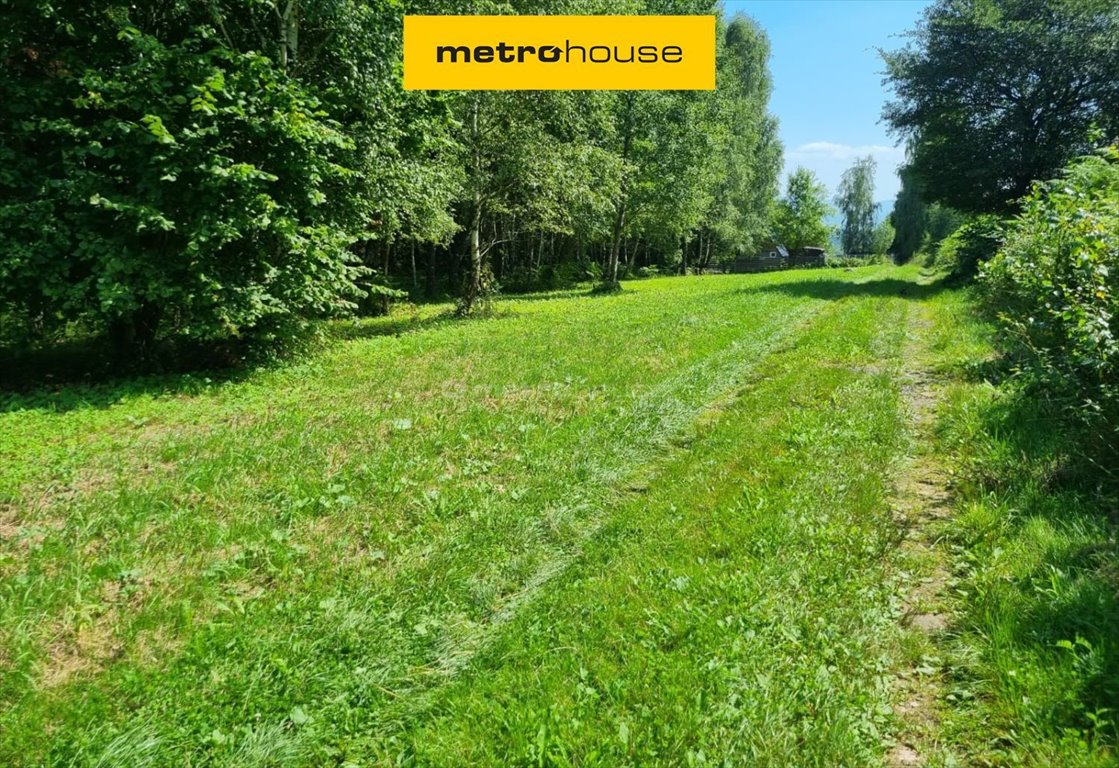 Działka budowlana na sprzedaż Buczkowice, Wypoczynkowa  2 000m2 Foto 1