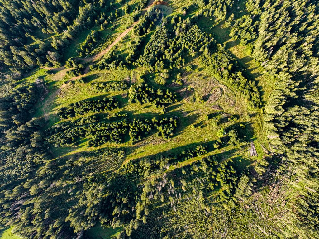 Działka rolna na sprzedaż Dzianisz  6 560m2 Foto 7