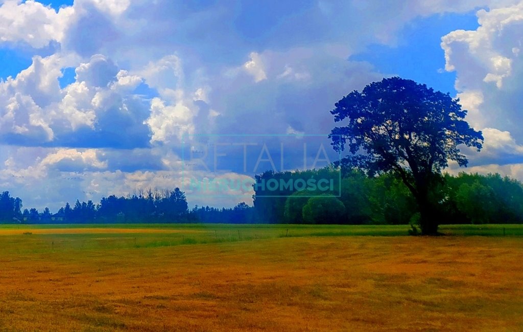 Działka budowlana na sprzedaż Żelechów  2 000m2 Foto 3