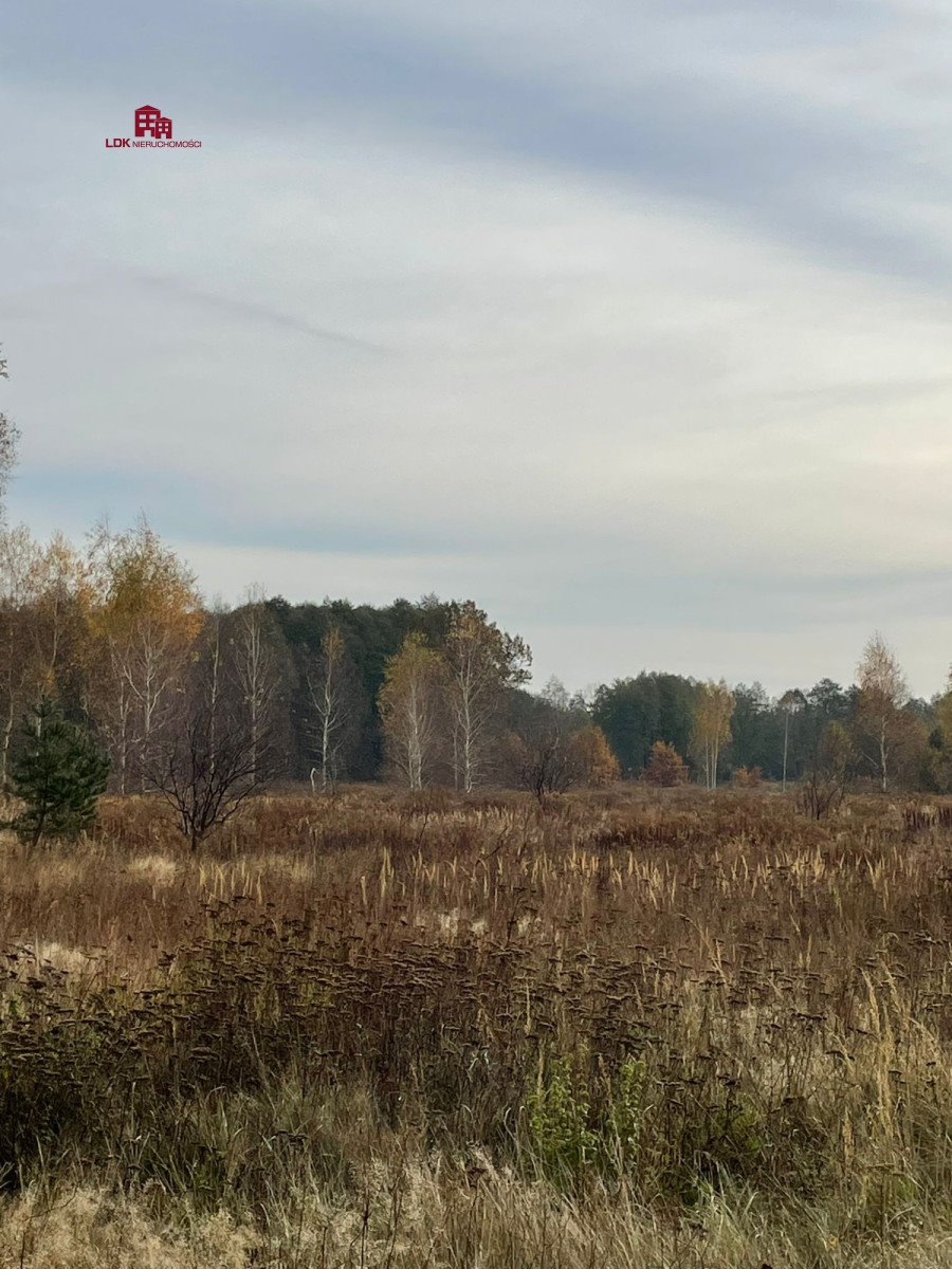 Działka budowlana na sprzedaż Zielona Góra  35 300m2 Foto 8