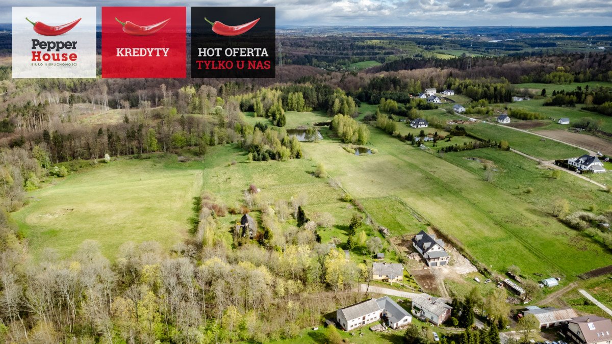 Działka 38 151 m² z potencjałem inwestycyjnym i mediami Jodłowno  38 151m2 Foto 1