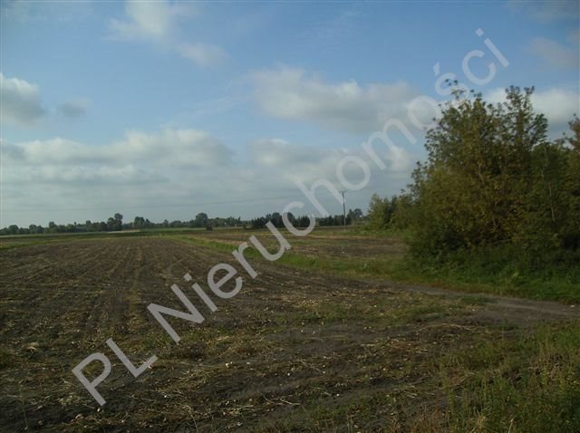 Działka inna na sprzedaż Moszna-Parcela  13 800m2 Foto 5