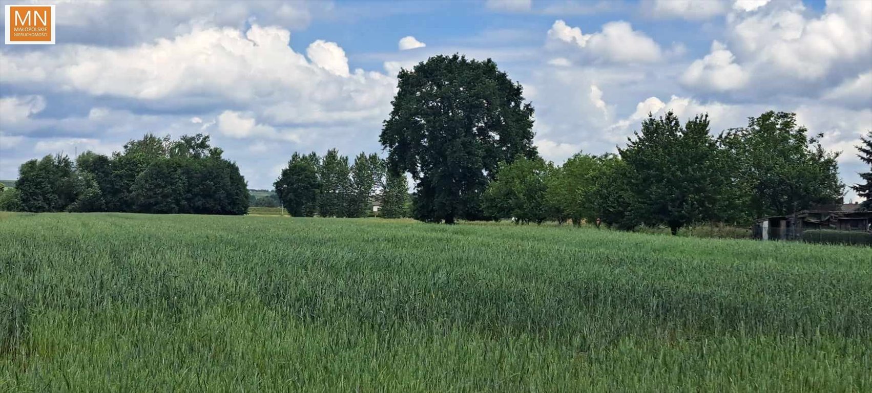 Działka budowlana na sprzedaż Ispina  8 500m2 Foto 5