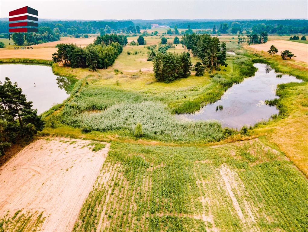 Działka leśna na sprzedaż Pięczkowo, Pięczkowo, sportowa 212/1  35 280m2 Foto 10