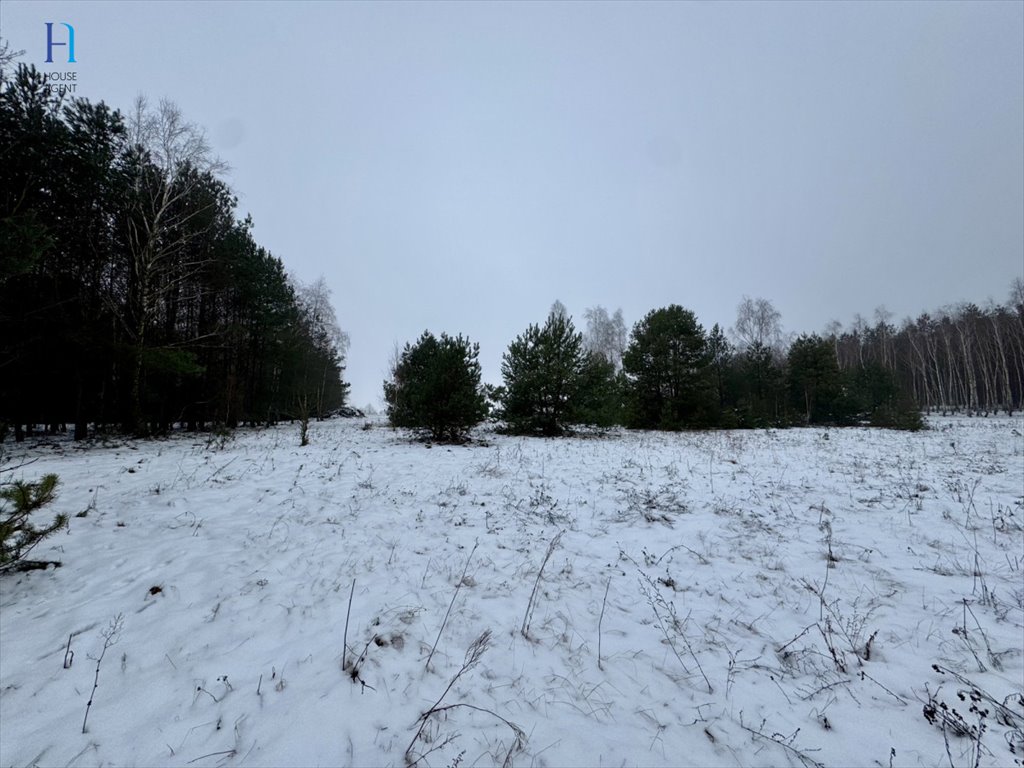 Działka leśna na sprzedaż Iwonie  27 100m2 Foto 7