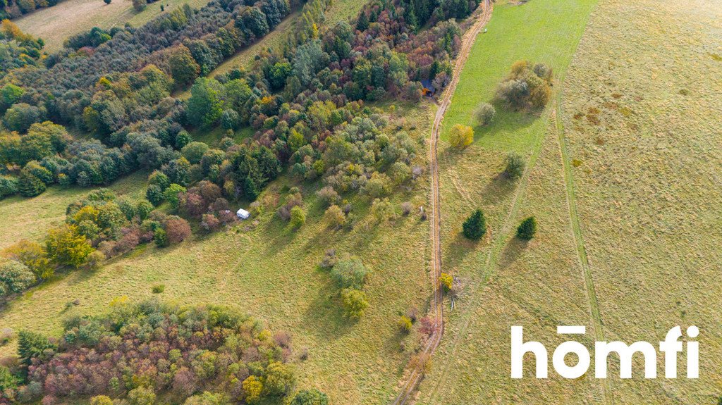 Działka budowlana na sprzedaż Duszniki-Zdrój, Zieleniec, Zieleniec  4 300m2 Foto 7