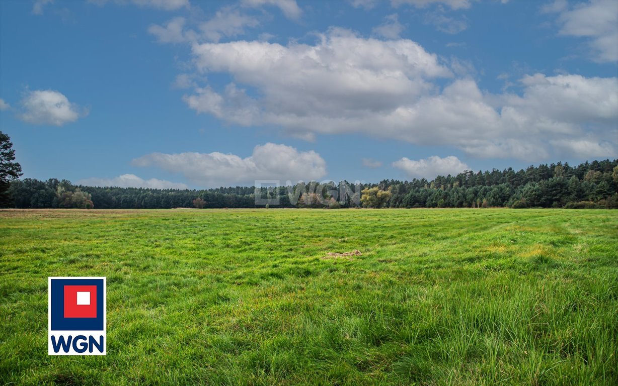 Działka rolna na sprzedaż Ołobok, centrum  91 500m2 Foto 8