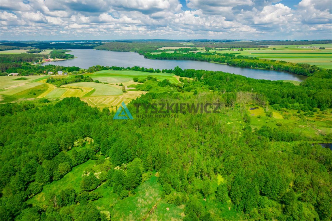 Działka rolna na sprzedaż Kamień Krajeński, Dworcowa  10 750m2 Foto 8
