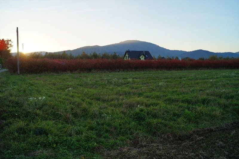 Działka budowlana na sprzedaż Lipowa, Promienna 4 500m2 Foto 1 Działka budowlana na sprzedaż Lipowa, Promienna 4 500m2 Foto 1