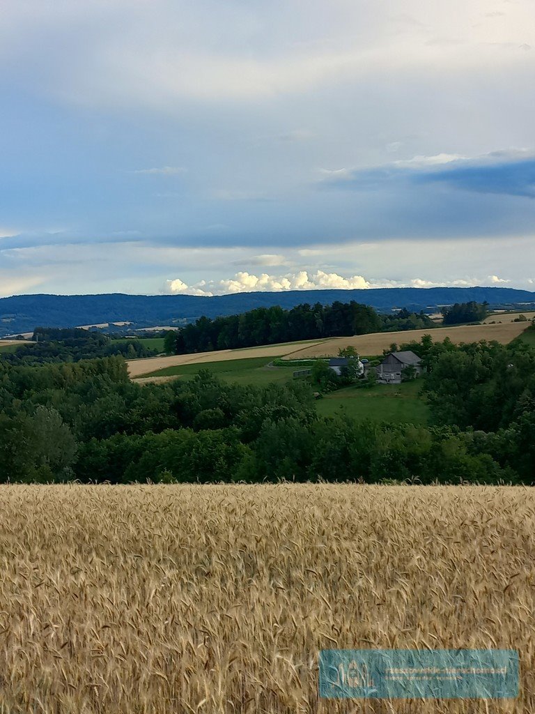 Działka budowlana na sprzedaż Brzeziny  1 250m2 Foto 1