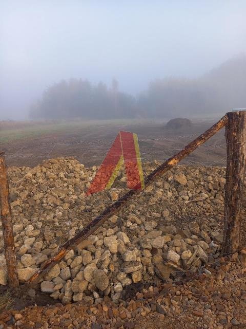 Działka przemysłowo-handlowa na sprzedaż Cholerzyn, Cholerzyn  2 400m2 Foto 2