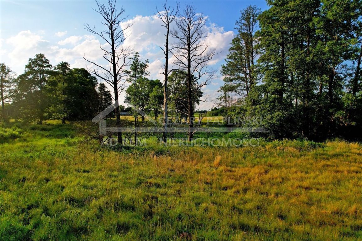 Działka inwestycyjna na sprzedaż Dobratycze-Kolonia, Terespol, Dobratycze-Kolonia  3 960m2 Foto 6